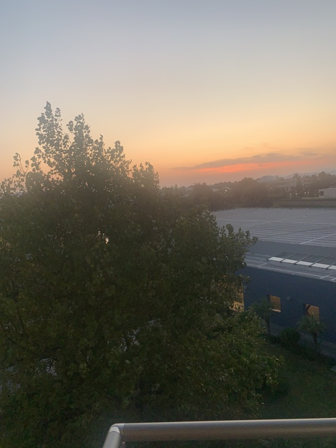 aamosers onlyfans leaked picture 2