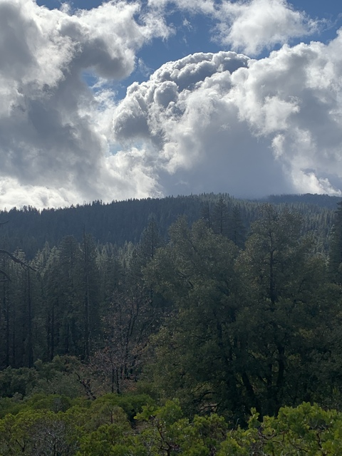 aaronkarnie22 onlyfans leaked picture 2