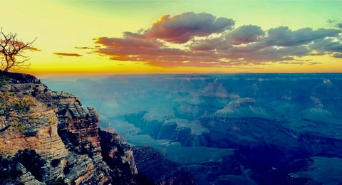 alabamaslamma onlyfans leaked picture 2