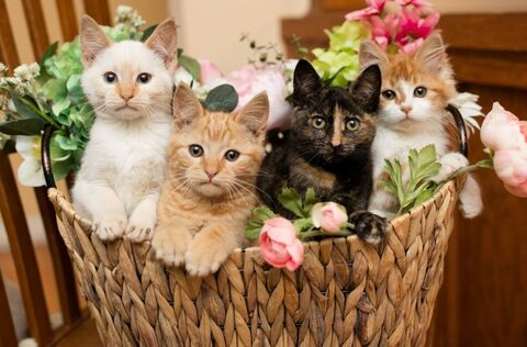 allieanders onlyfans leaked picture 2