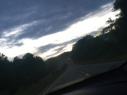 allycattt onlyfans leaked picture 2