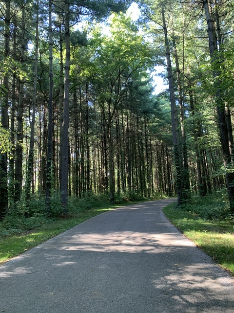 ampathena onlyfans leaked picture 2