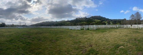 anastsiaiguess onlyfans leaked picture 2