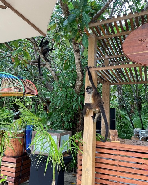 angiestraphouse onlyfans leaked picture 2