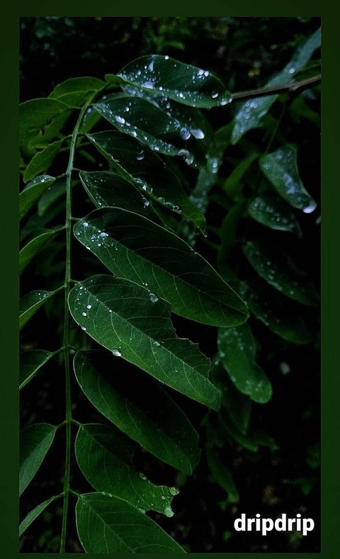 annathecreator onlyfans leaked picture 2