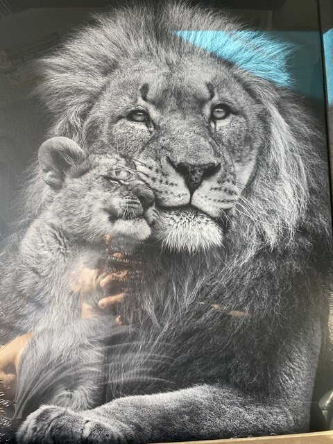 artemis_iron onlyfans leaked picture 2