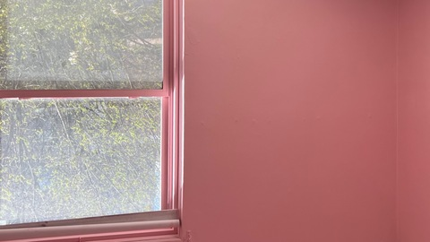 asiankreamsicle onlyfans leaked picture 2