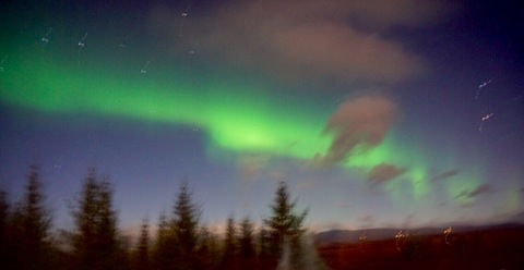 b3lla onlyfans leaked picture 2