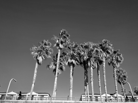 bbajustice onlyfans leaked picture 2