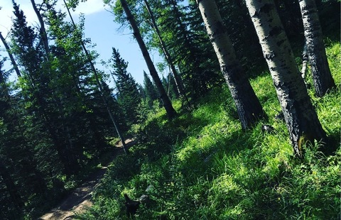 bbybsi onlyfans leaked picture 2