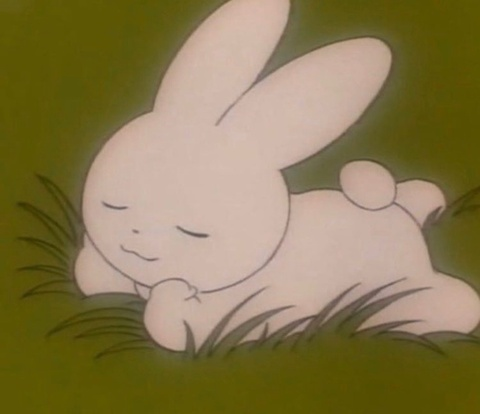 bbycixxx onlyfans leaked picture 2