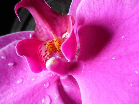 beautifulstranger64 onlyfans leaked picture 2