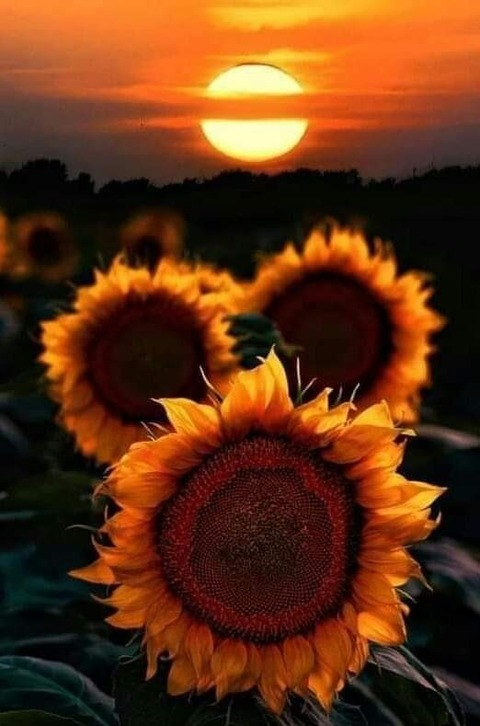 bigboobies2020 onlyfans leaked picture 2