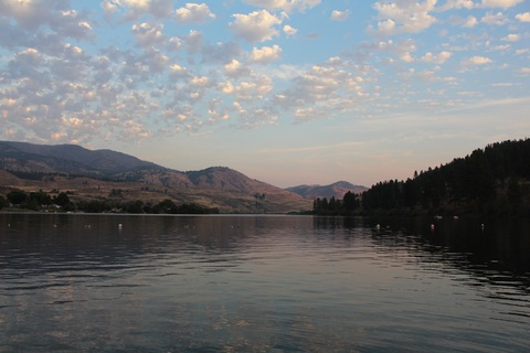 black.licorice.baby onlyfans leaked picture 2