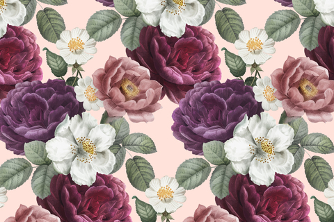 blanchewithabooty onlyfans leaked picture 2