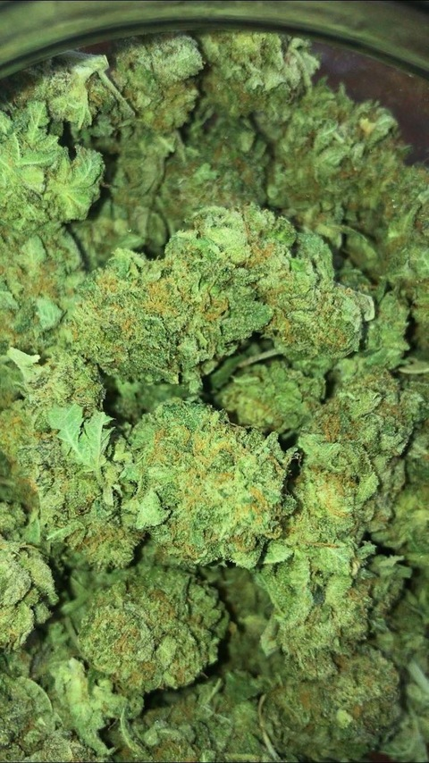 bluntbxtch onlyfans leaked picture 2