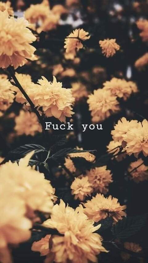 bukiminako onlyfans leaked picture 2