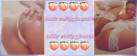 callipygianpeach9 onlyfans leaked picture 2