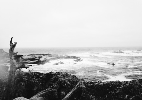 caroleaks onlyfans leaked picture 2