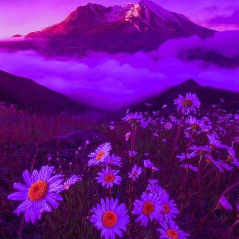 castleoftrash onlyfans leaked picture 2