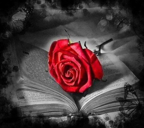 chalina onlyfans leaked picture 2