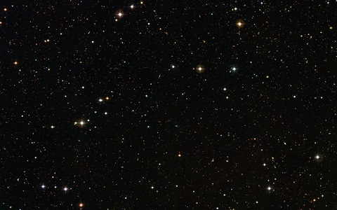 chanelrosexxy onlyfans leaked picture 2