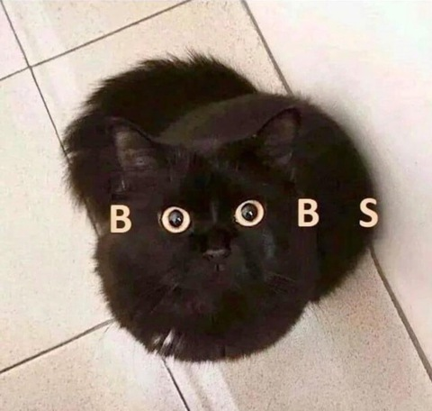 chasingdaze onlyfans leaked picture 2