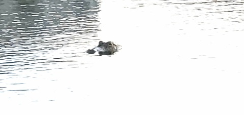 crazemex8 onlyfans leaked picture 2