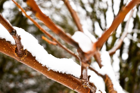 daisyday90 onlyfans leaked picture 2