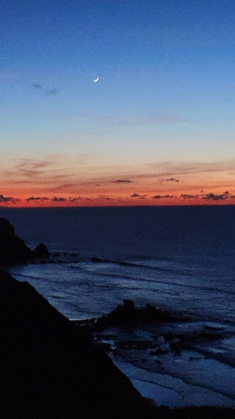 dinudes onlyfans leaked picture 2