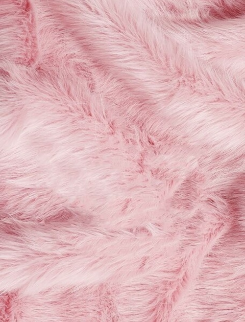 elaiine onlyfans leaked picture 2