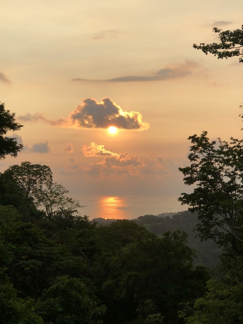 eliza onlyfans leaked picture 2