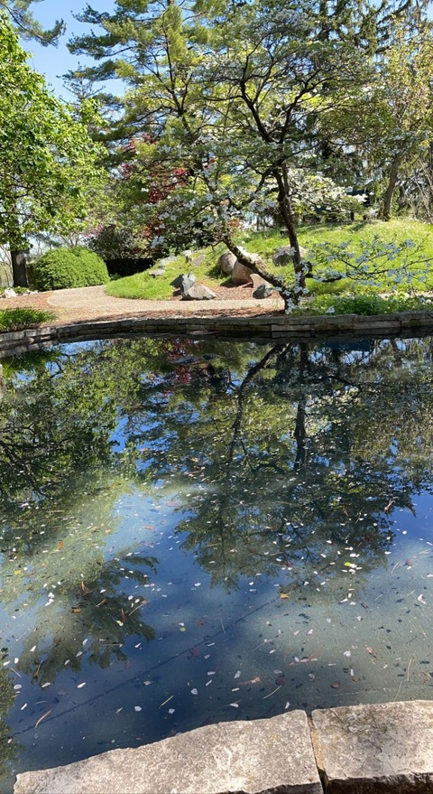 emillly onlyfans leaked picture 2