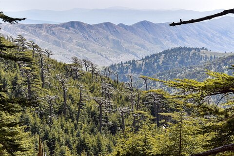 enkidunight onlyfans leaked picture 2