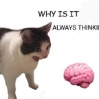 evanmaese onlyfans leaked picture 1