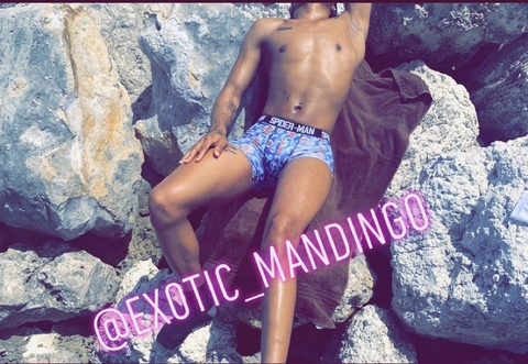 exotic_mandingo onlyfans leaked picture 2