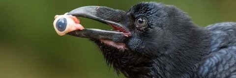 femalien onlyfans leaked picture 2