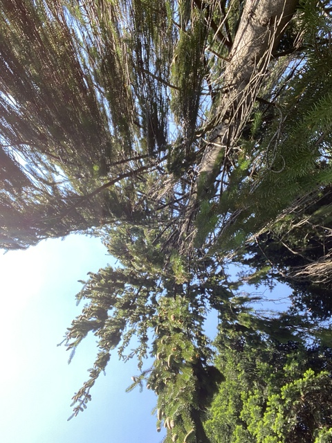 finnleonard onlyfans leaked picture 2