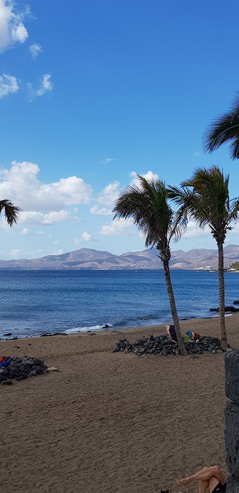 freaksod20 onlyfans leaked picture 2