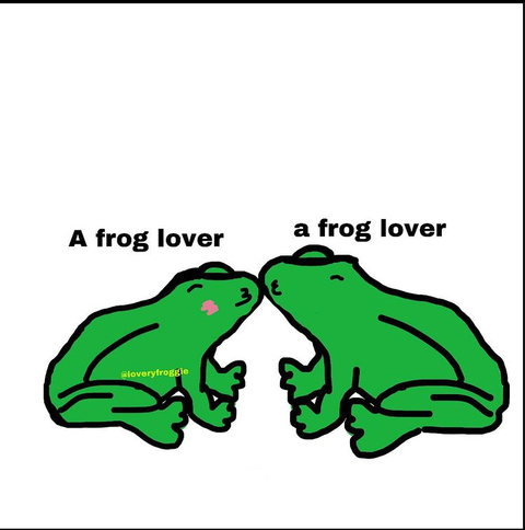 frogsarestoners onlyfans leaked picture 2