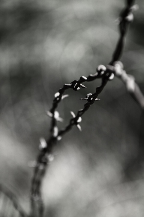 funonlinecali onlyfans leaked picture 2