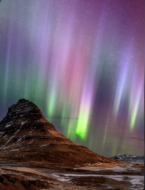 gardenofeden27 onlyfans leaked picture 2