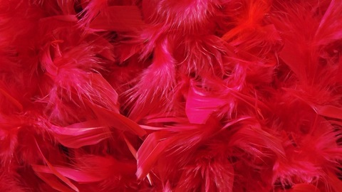 glxriq onlyfans leaked picture 2