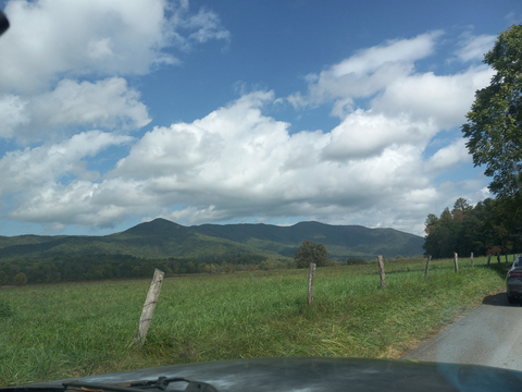 goddesssunshine onlyfans leaked picture 2