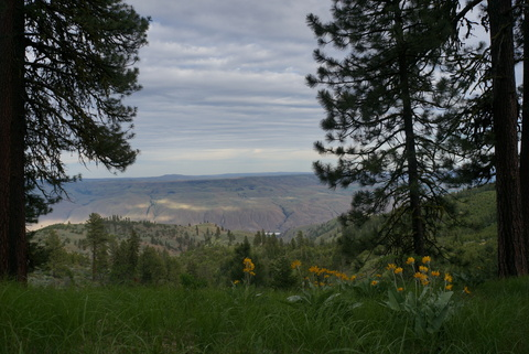 hidemyassdotcom_free onlyfans leaked picture 2