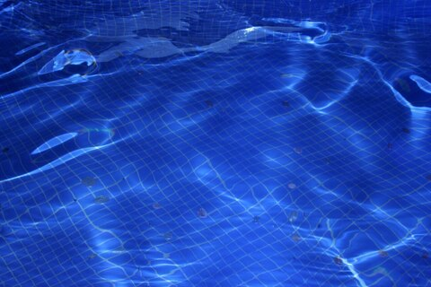 hoexotic_ onlyfans leaked picture 2