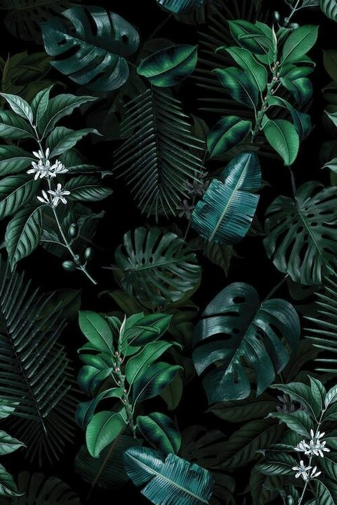 holly_k onlyfans leaked picture 2