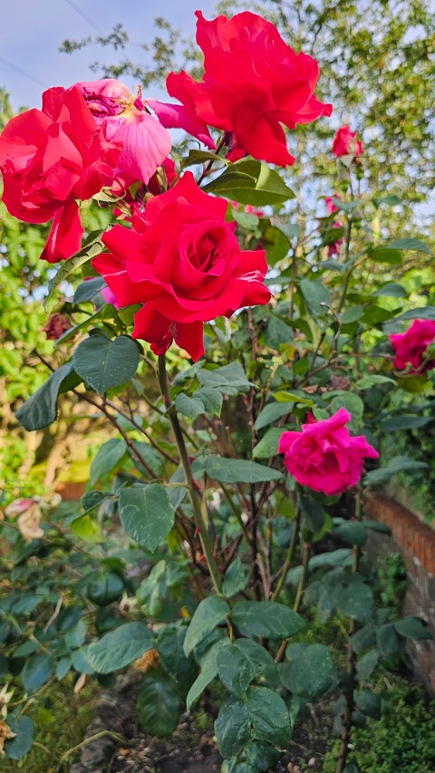 inkyminky onlyfans leaked picture 2