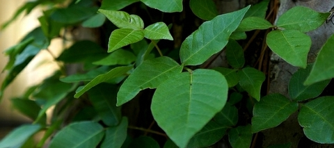 jacksonv_1226 onlyfans leaked picture 2