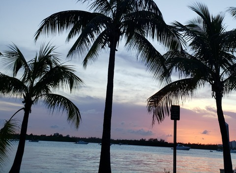 jaimeeloves onlyfans leaked picture 2